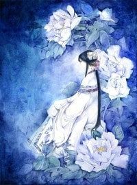 [综]审神者今天掉毛了吗