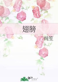 翅膀